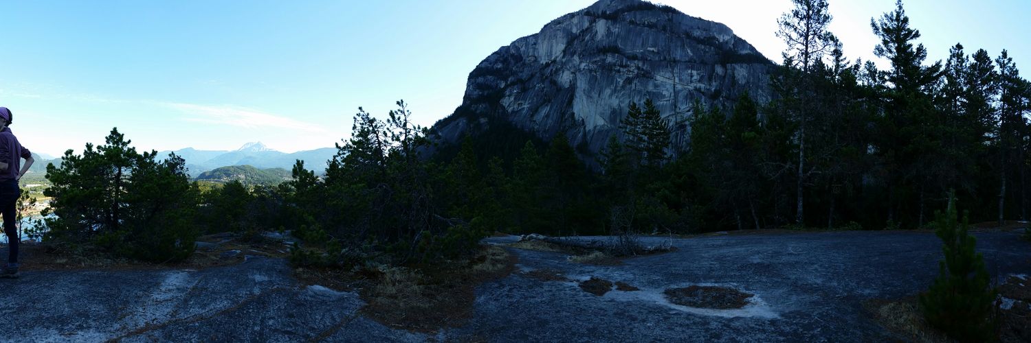 MatthewTheBird's profile banner image