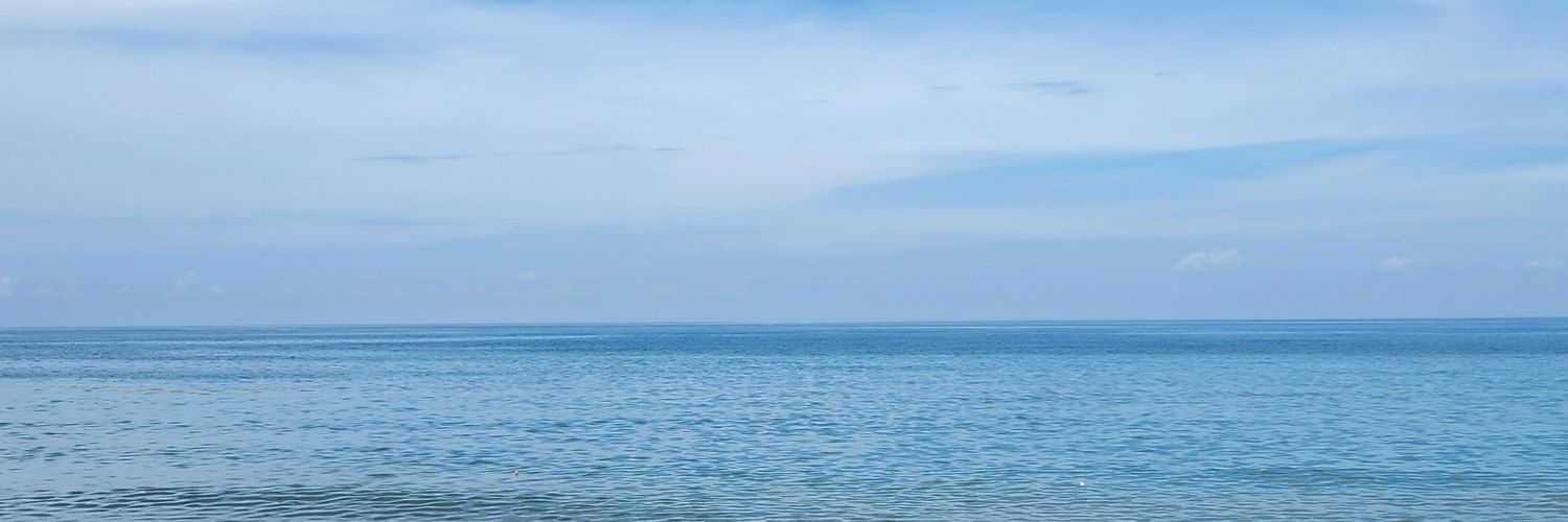 alyonabesi's profile banner image