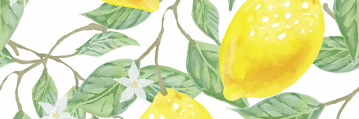 elsa_jungman's profile banner image