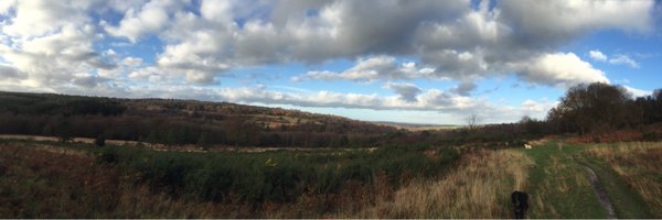 Waggatails Profile Banner