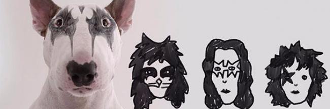 cassiogenaro's profile banner image
