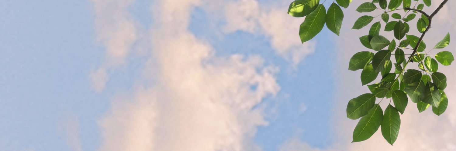 miahgarc's profile banner image