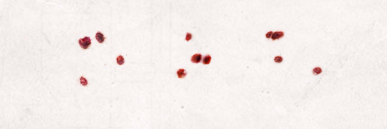 a_jhr1009's profile banner image