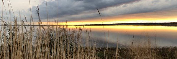 ACPressCharles Profile Banner