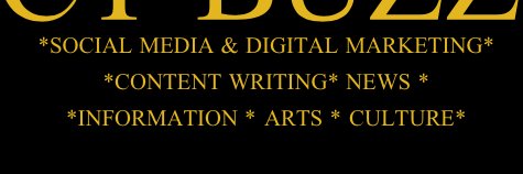 CTBuzzMedia's profile banner image