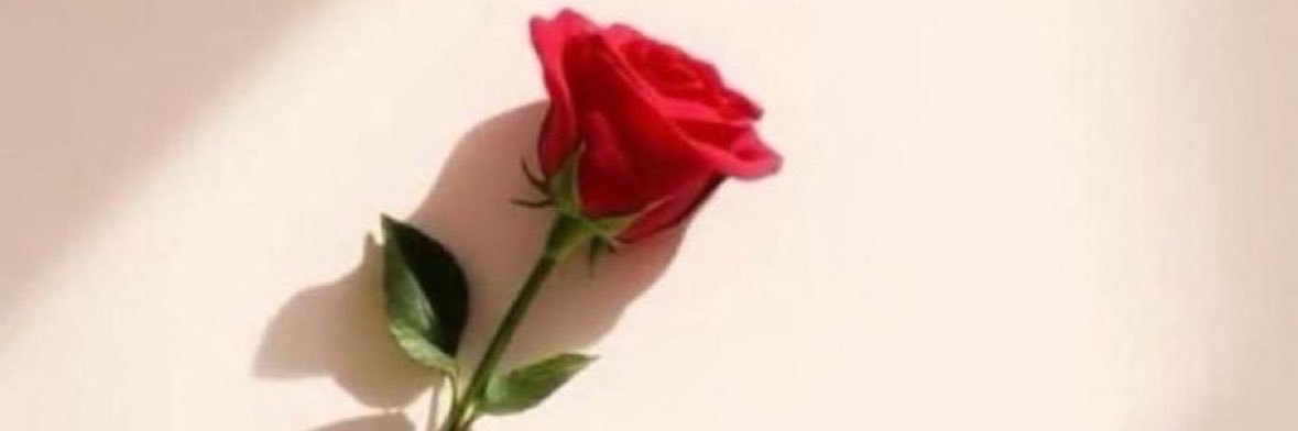uopghie's profile banner image