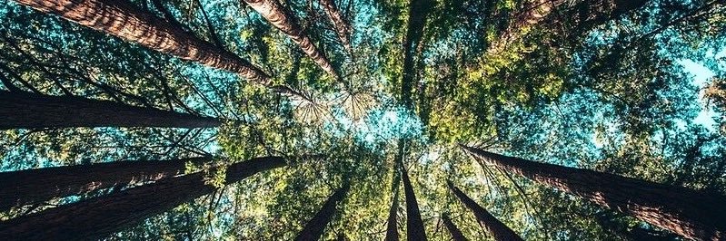 RetnoSam's profile banner image