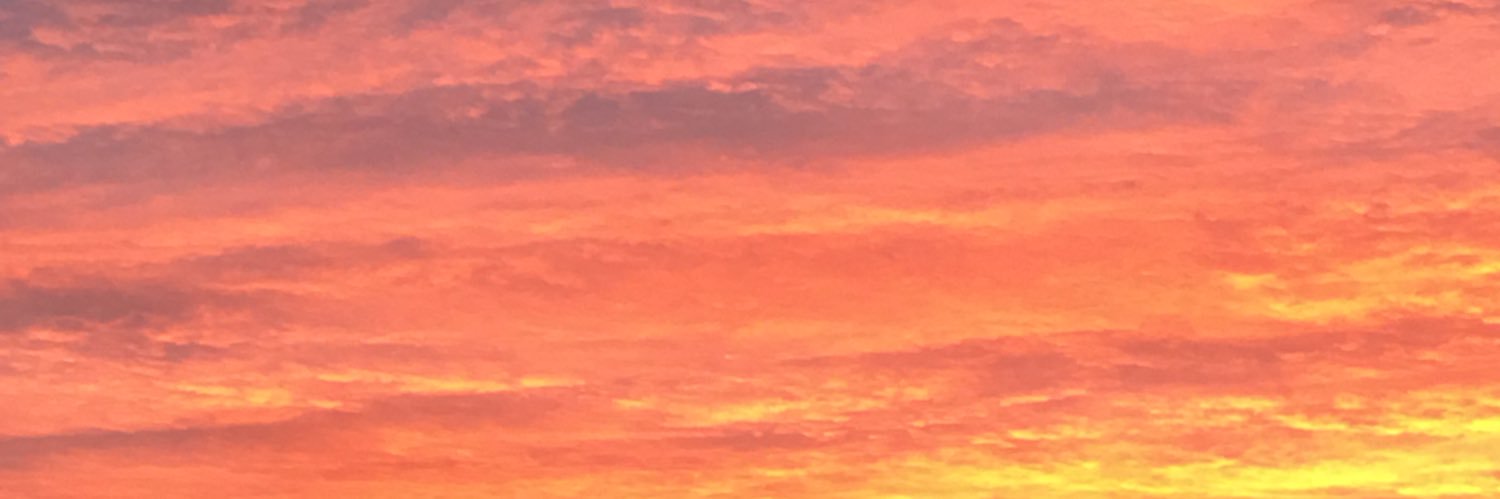 lohomudeltemps banner