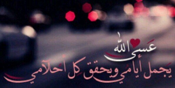 Miss1alaa's profile banner image
