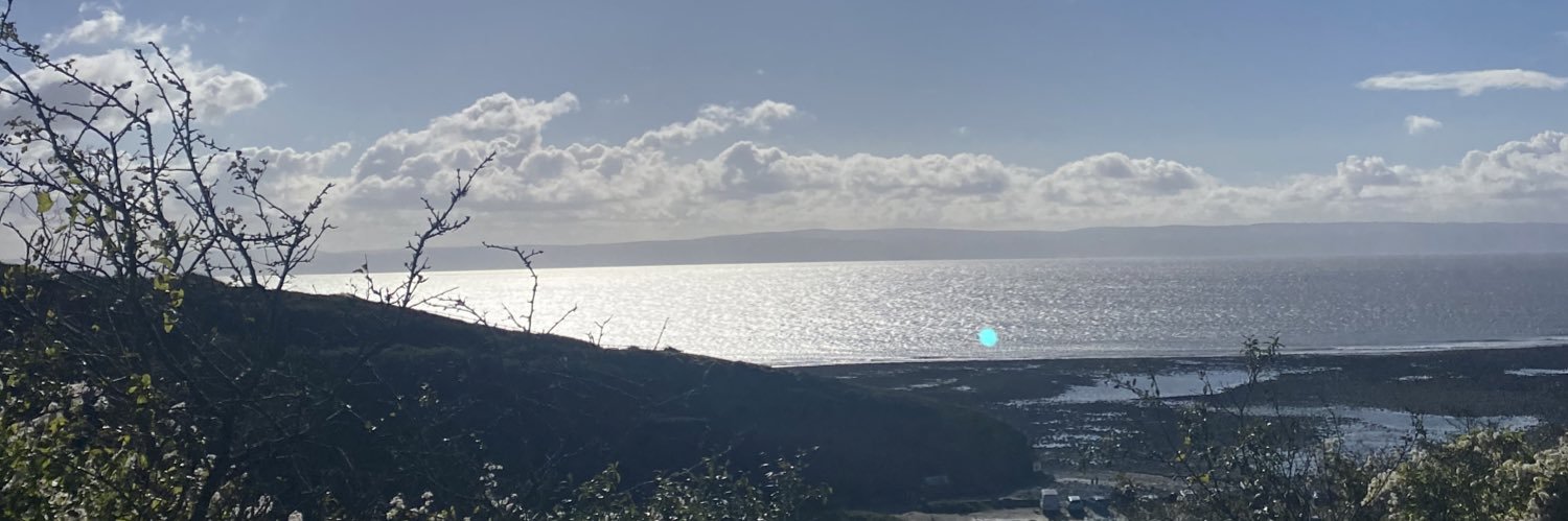 alysrabjohns's profile banner image