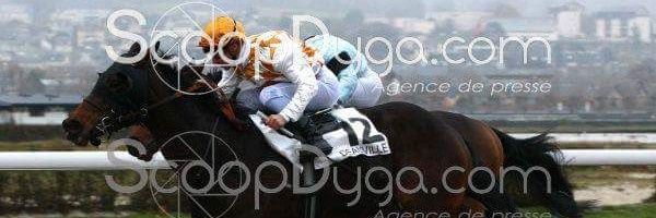 RuisSylvain Profile Banner