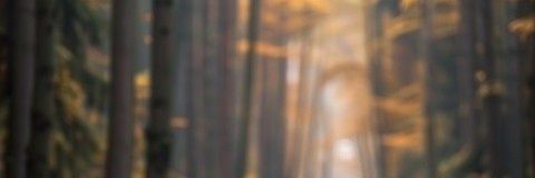 u_m_8_'s profile banner image