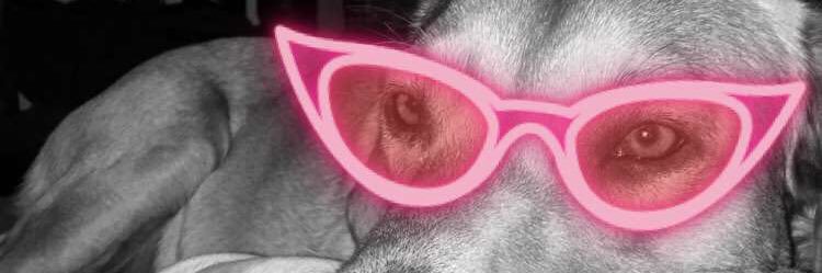 bethabstringer's profile banner image