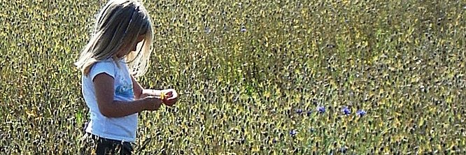 Enovert Community Trust banner