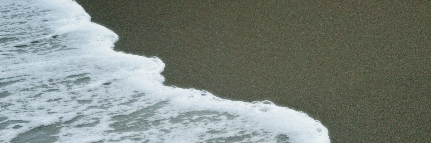 rayashaney's profile banner image