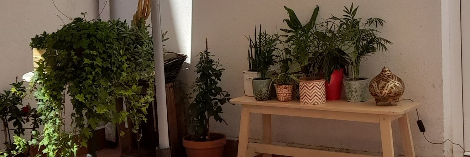 senyoretapvidal's profile banner image