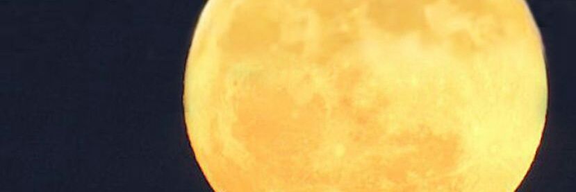 MalicariG's profile banner image