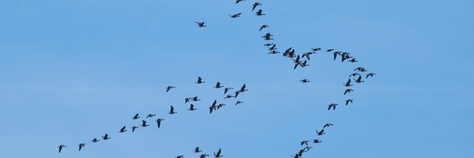 cecileavram's profile banner image