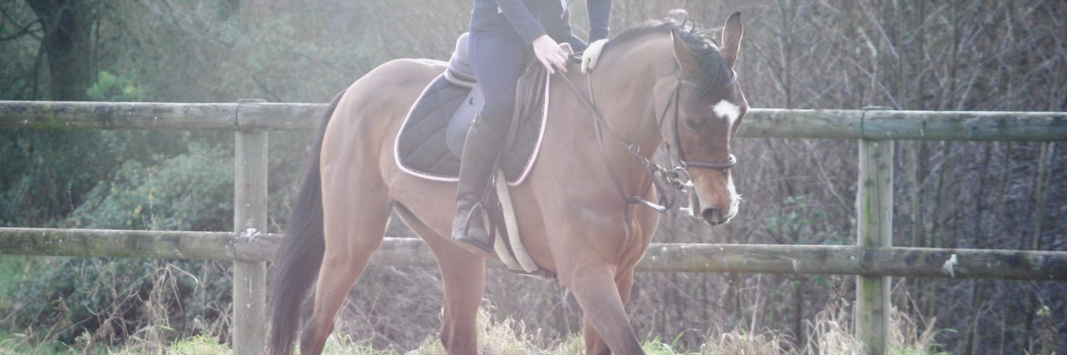 suzanne_gillot's profile banner image