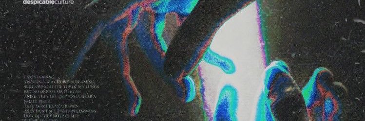 Sillysafl banner