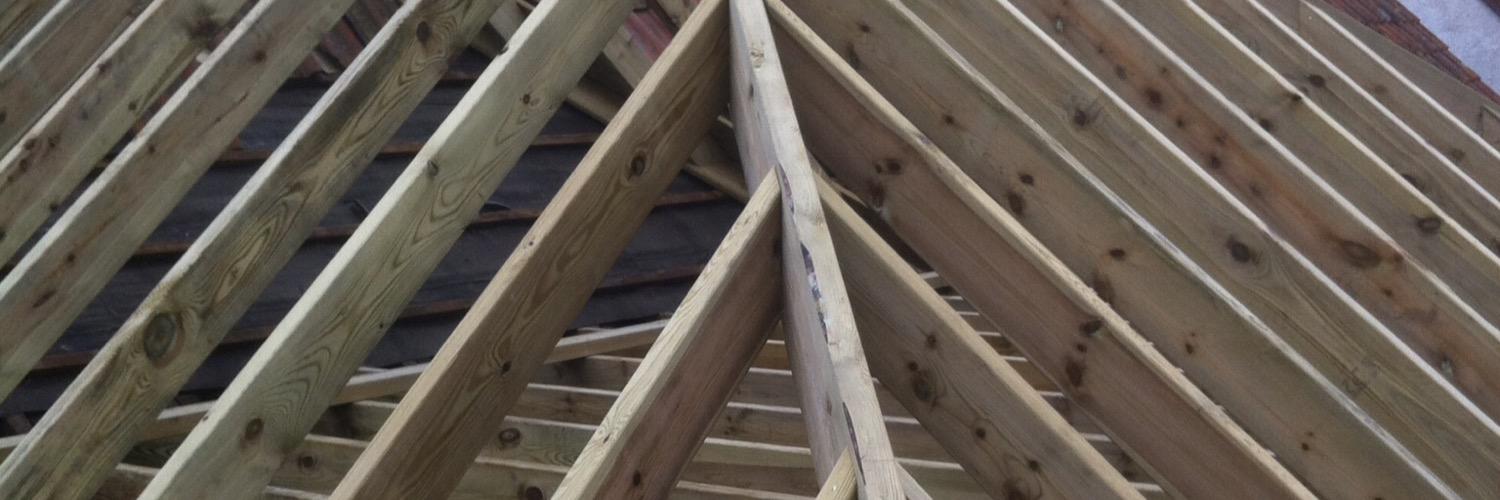 PusillCarpentry's profile banner image