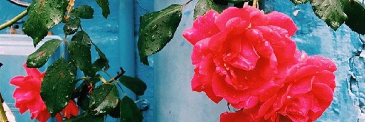 mor_of_me's profile banner image