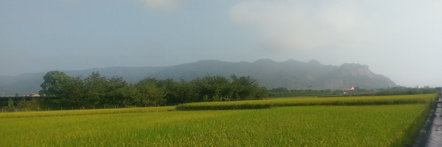 lthee519's profile banner image