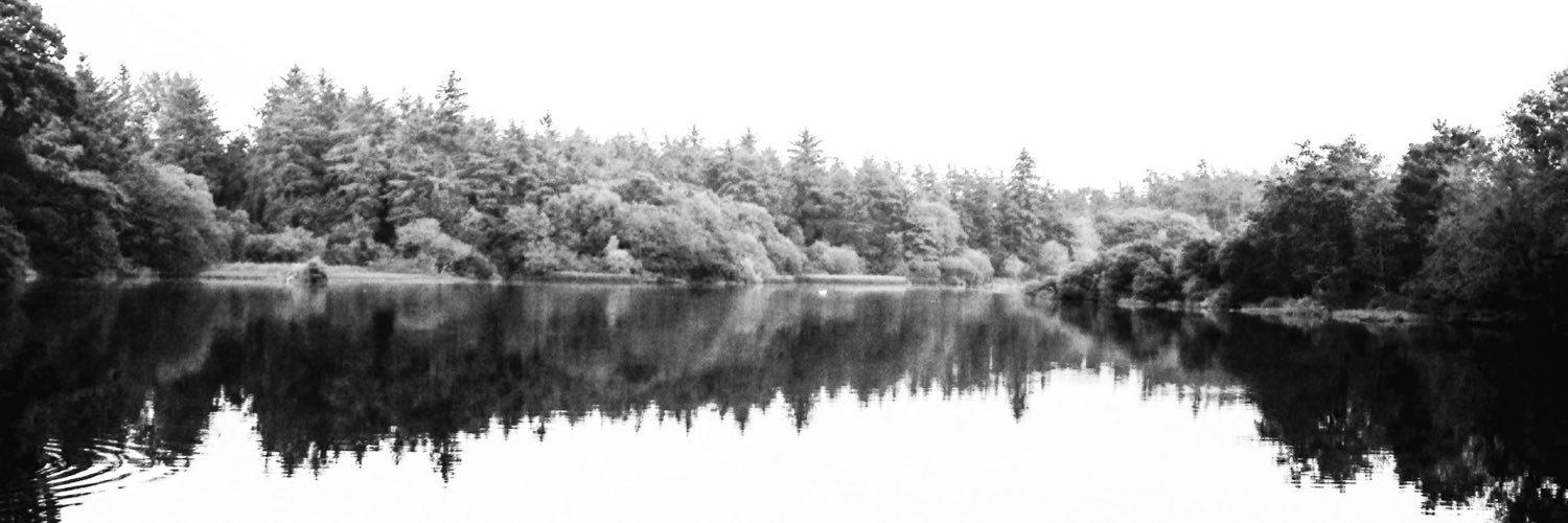 AdamFallis's profile banner image