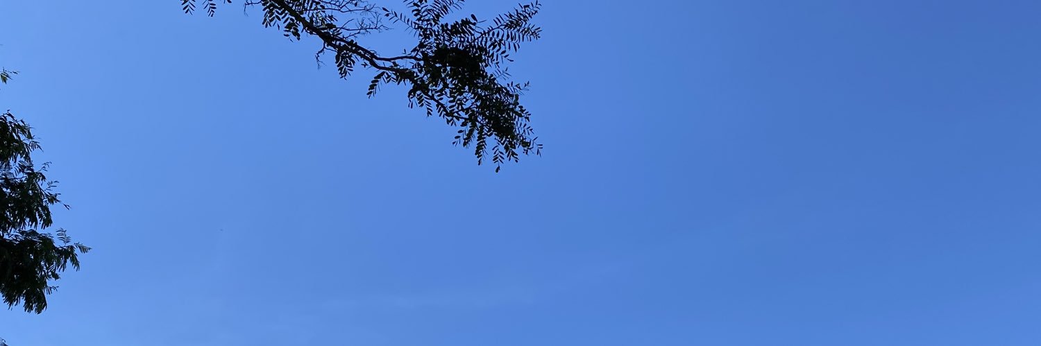 DiegoConcesso's profile banner image