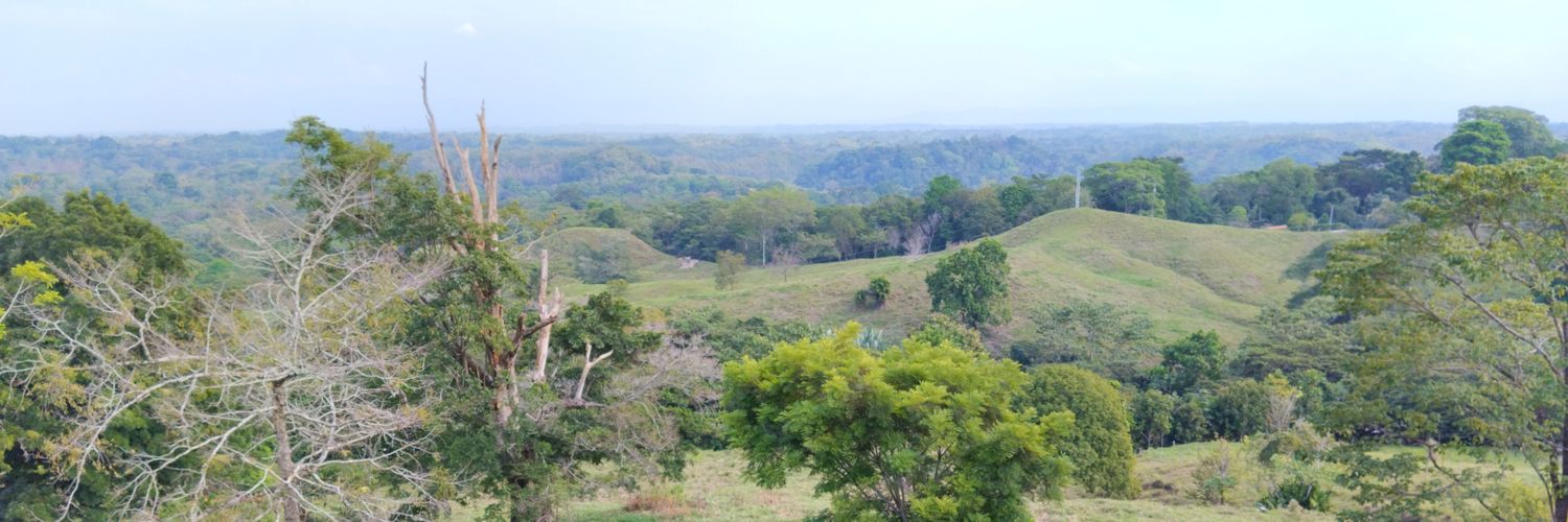 abogadohernanda's profile banner image