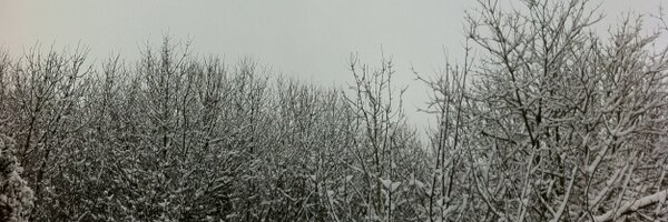 Chouings Profile Banner