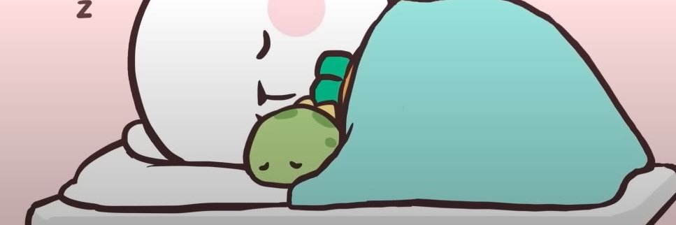 SO_RAPID's profile banner image