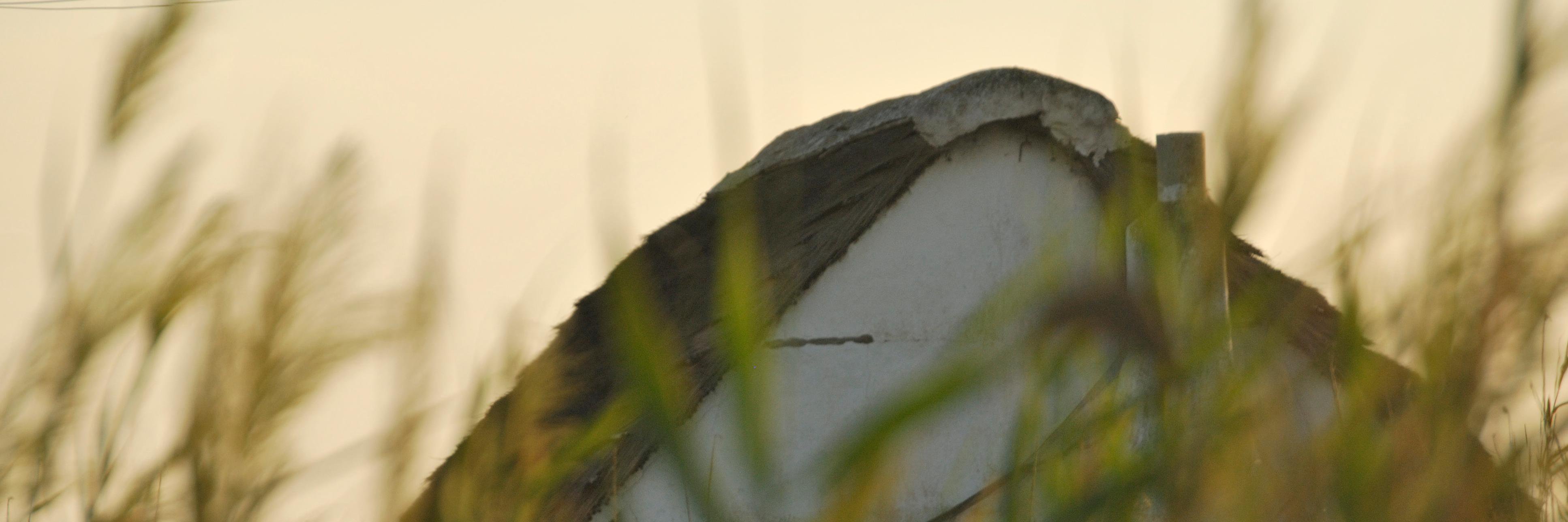 marc ballester banner