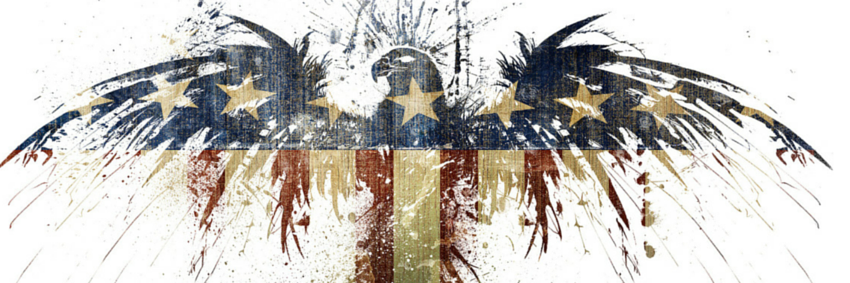 Ziggidy's profile banner image