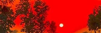 jiwan_son's profile banner image