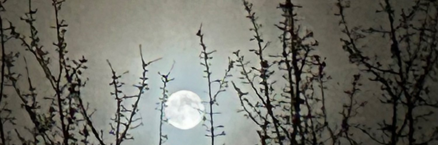 sherischerbyn's profile banner image