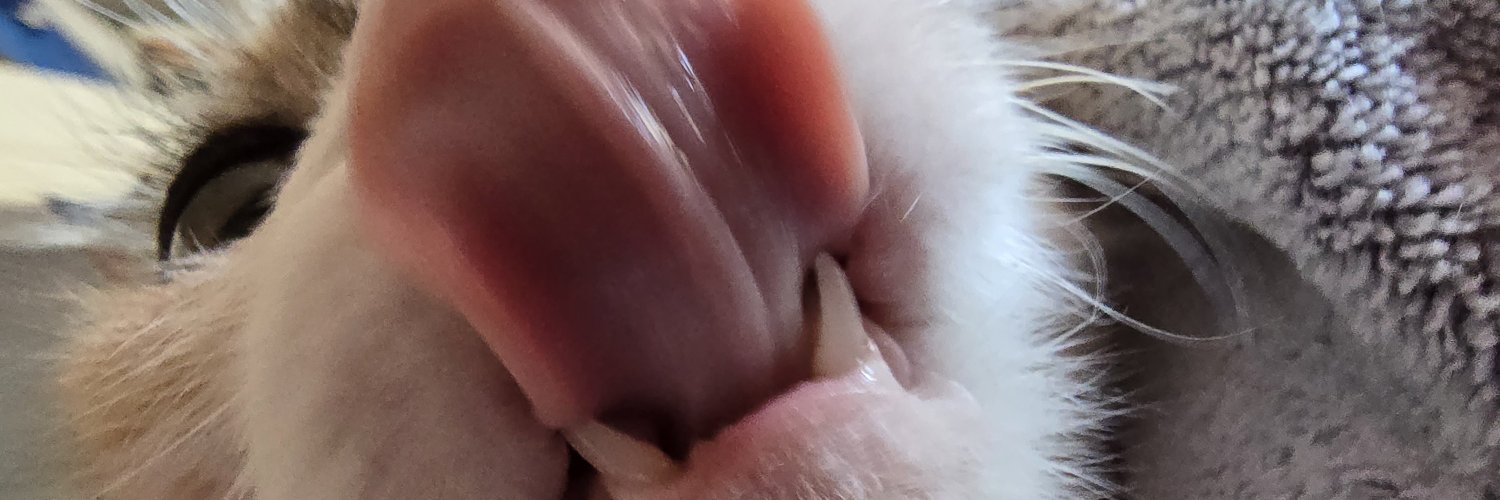 OmbePanda's profile banner image