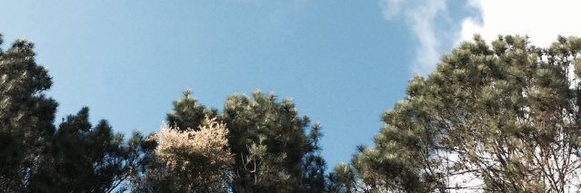 dindaprastika29's profile banner image