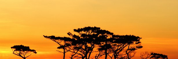 kei5_k5's profile banner image