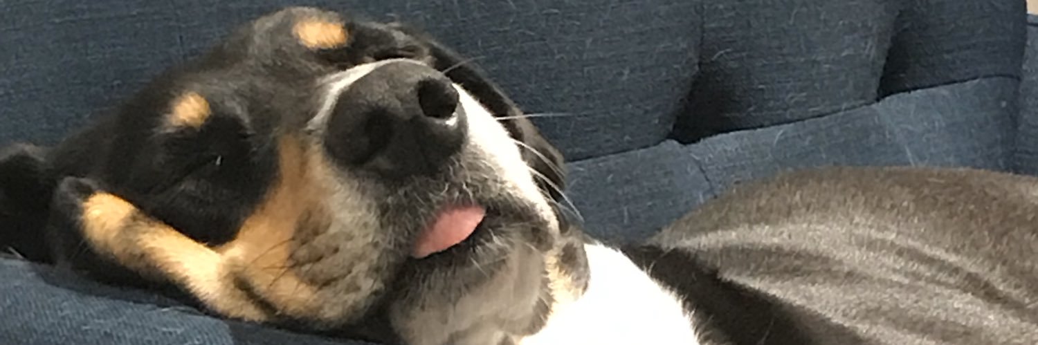 Dylan Sjølie banner