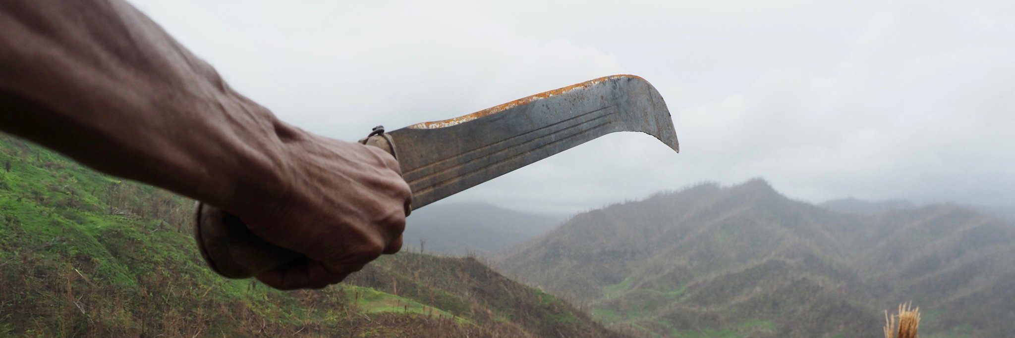 Stefan Labbé banner