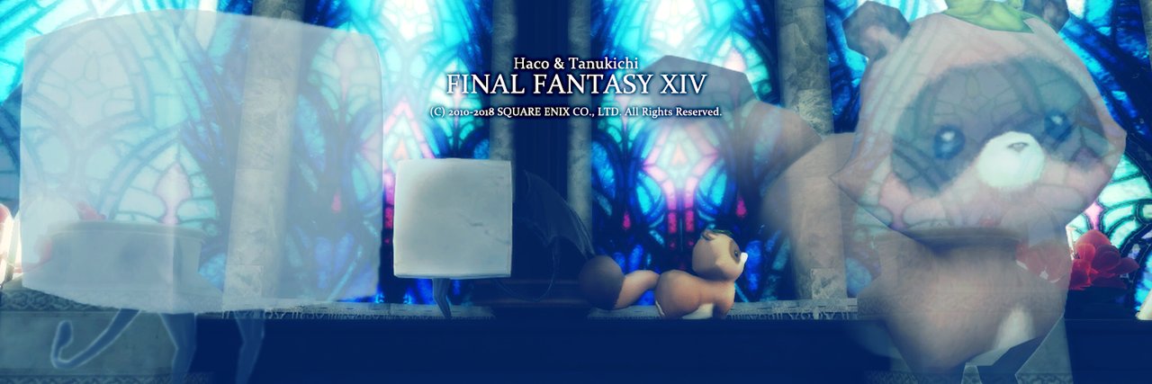 🦈さめとし🦈 banner