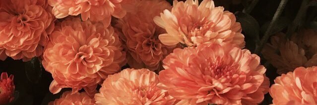Madeleine_CM's profile banner image