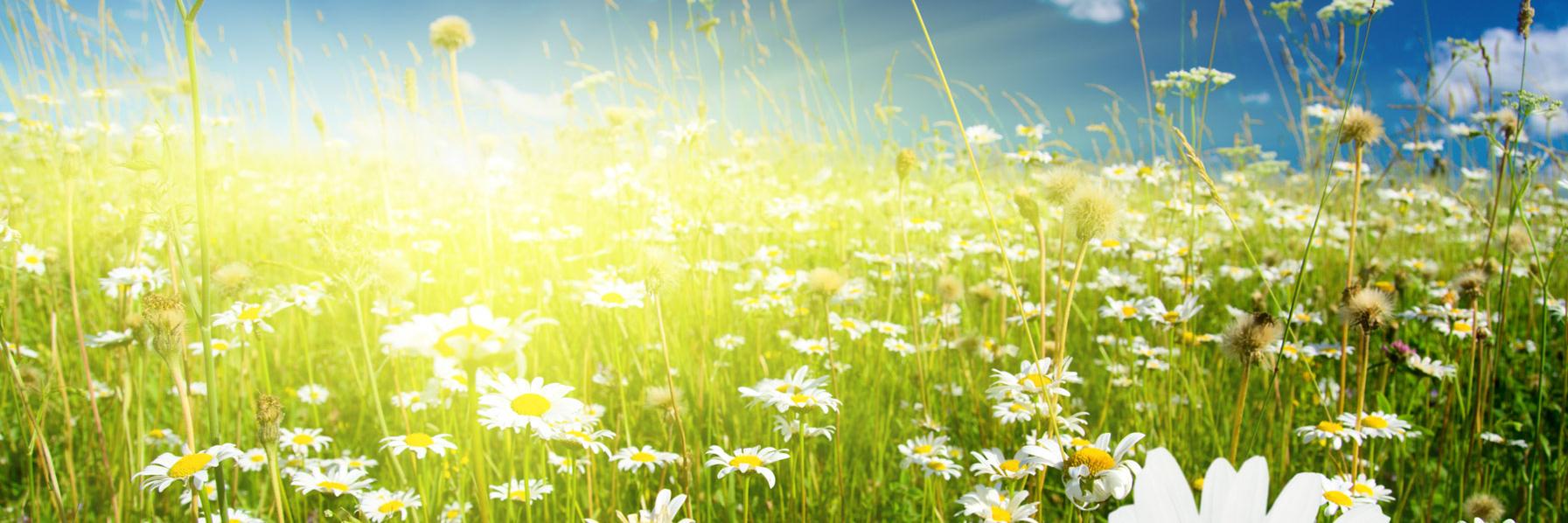 lnata091's profile banner image