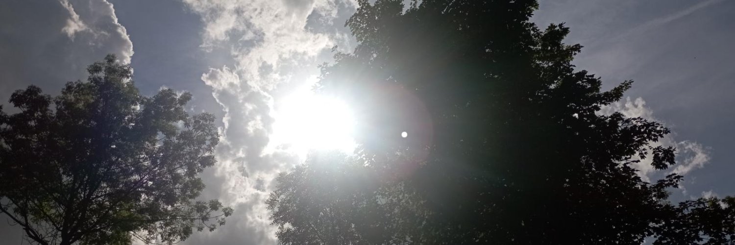 scorpinette's profile banner image