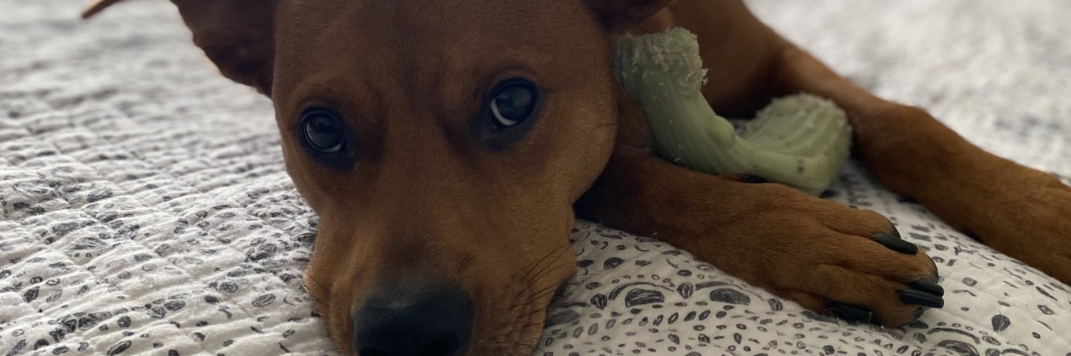 Tnormannn_'s profile banner image