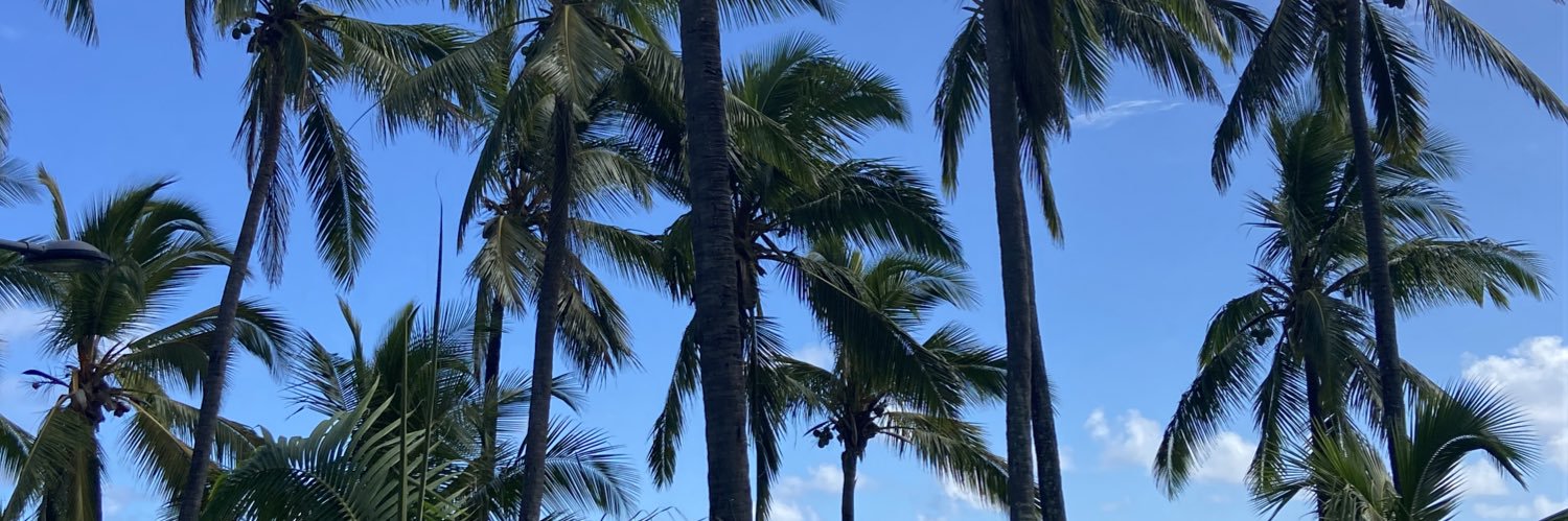 pauldeglairee's profile banner image