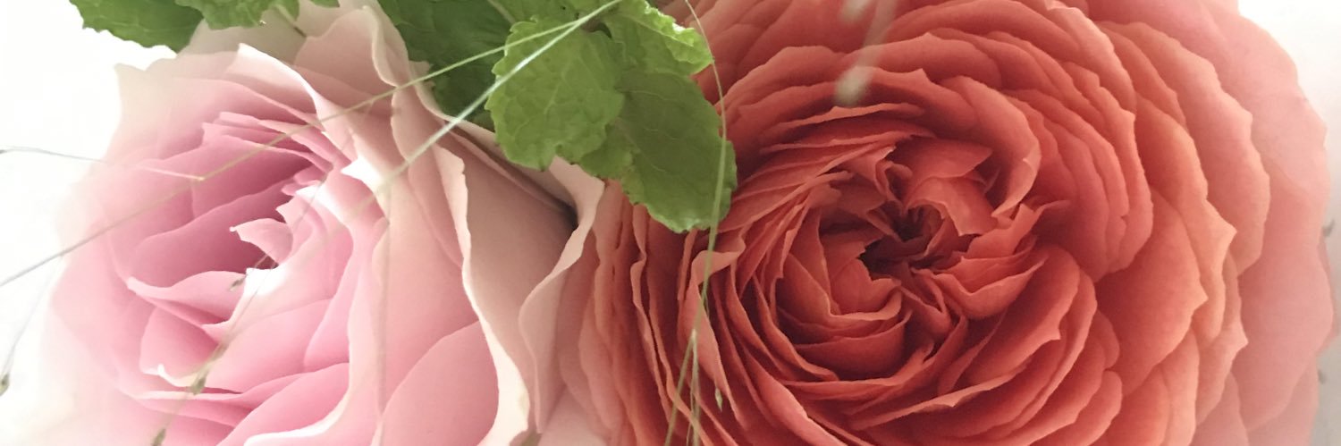 arielmishel's profile banner image