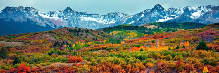SandiGregston's profile banner image