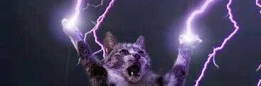 Anna_Purina's profile banner image